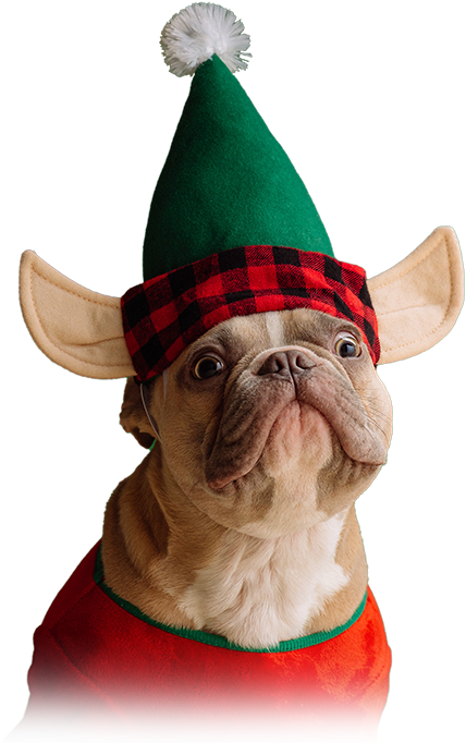 Oeps, er ging wat fout